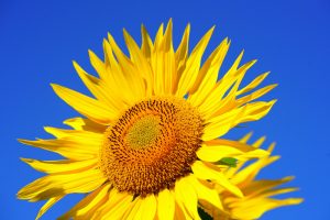 New Select-a-Term Rates are Coming in HOT for summer!